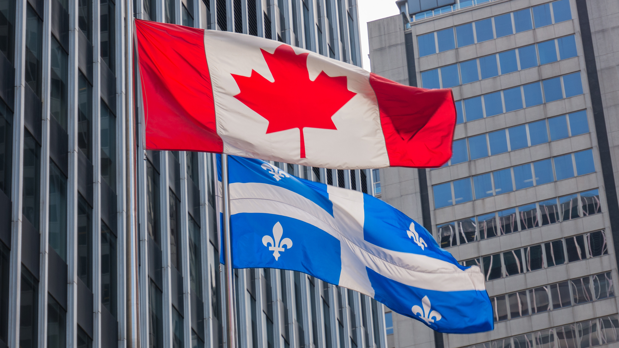 Incorporation federale ou provinciale